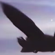 Illustration for article titled Youll Swear The Ground Shook After Watching This Heavy SR-71 Departure